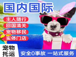 朔州机场空运国际宠物托运 【国